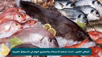 البلطي الكبير.. أحدث أسعار الأسماك والجمبري اليوم في الأسواق العربية